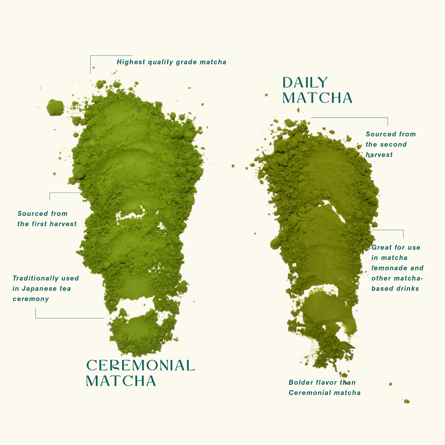 Organic Daily Matcha Perfect for Mixed Matcha Drinks