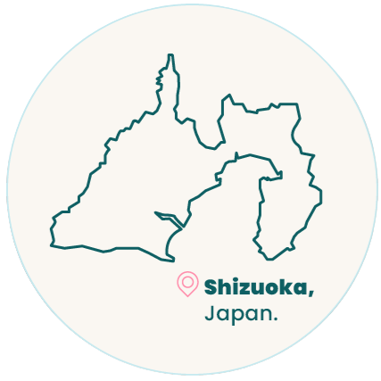 Illustrated map labeled Shizuoka, Japan.