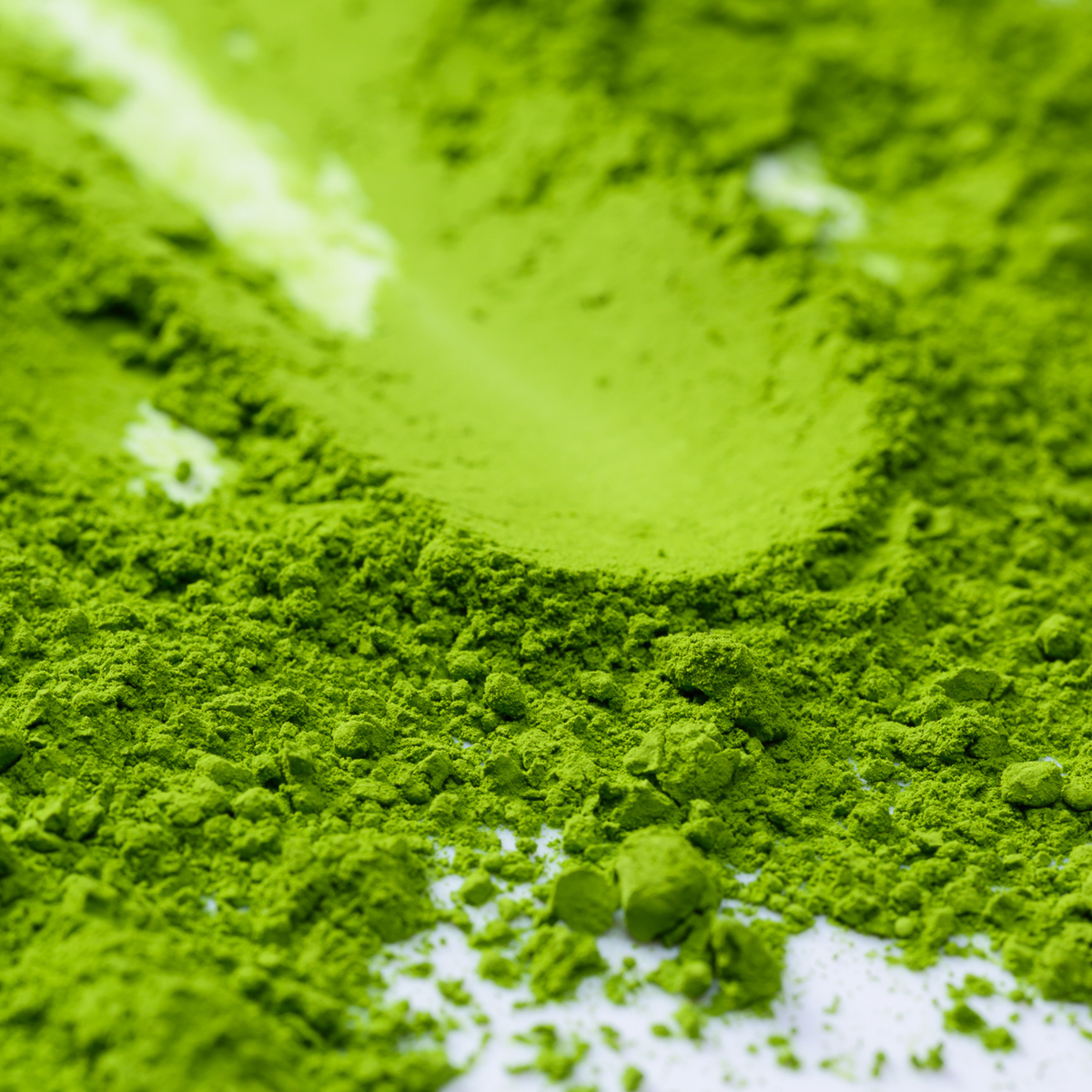 A close look at the fine green powder of Yōko Matcha’s Japanese ceremonial matcha